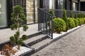 Luxurious landscaping near a modern house. Thuja and small bushes in a white fireplace near the sidewalk on a background of metal