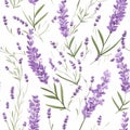 Luxurious Lavender Flowers Background With Retro Vibes