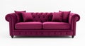Plush magenta velvet chesterfield sofa with tufted back and rolled arms on a white background Royalty Free Stock Photo