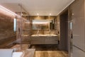 Luxurious marble bathroom with hydromassage