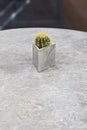 Luxurious marble dining table. Marble triangle pot with mini cactus on gray table surface