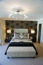 Luxurious master bedroom Royalty Free Stock Photo