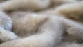 luxurious mink fur texture close-up background. closeup