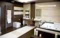 Luxurious modern bathroom