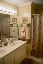Luxurious modern bathroom Royalty Free Stock Photo