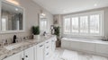 Luxurious modern bathroom, winter view, granite counters, real estate Royalty Free Stock Photo