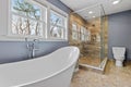 Luxurious modern interior design for a bathroom in a contemporary house
