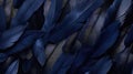 luxurious navy blue feathers