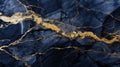 luxurious navy gold marble