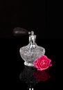 Luxurious perfume bottle Royalty Free Stock Photo