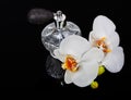 Luxurious perfume bottle atomizer Royalty Free Stock Photo