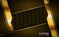 Luxurious Premium Golden Brown Abstract Background With Golden Lines