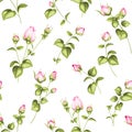 Luxurious rose wallapaper.