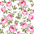 Luxurious rose wallapaper.