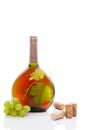 Luxurious rose wine still life. Royalty Free Stock Photo