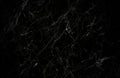 Luxurious Silver Black Marble Background with Gold Lines Elegant Design Element