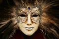 Luxurious silver mask Royalty Free Stock Photo