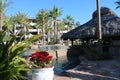 Luxurious spanish style pool jacuzzi hot with luxury water feature fountain at gorgeous villa with ocean view in Los Cabos Mexico