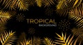 Luxurious tropical Golden palm leaves on a black background. Night jungle and tropics palm trees. Gold and black vector web banner