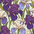 Iris Vector Pattern - Blue, Purple, And White Flowers In Line Drawing Style