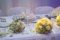 Luxurious wedding dinner Royalty Free Stock Photo