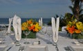 Luxurious wedding table setting 2 Royalty Free Stock Photo
