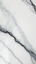 Luxurious white marble wall with bold black veins Royalty Free Stock Photo