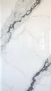 Luxurious white marble wall with bold black veins Royalty Free Stock Photo