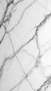 Luxurious white marble wall with bold black veins Royalty Free Stock Photo