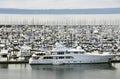 Luxurious yachts in marina