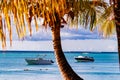 Luxurious yachts in the sea off the coast of the island of Mauritius lie under palm trees in the evening sun Royalty Free Stock Photo