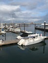 Luxurious Yachts by the Water on the Boston Harbor