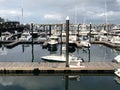 Luxurious Yachts by the Water on the Boston Harbor