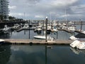 Luxurious Yachts by the Water on the Boston Harbor