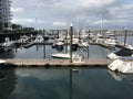 Luxurious Yachts by the Water on the Boston Harbor