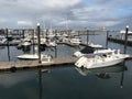 Luxurious Yachts by the Water on the Boston Harbor