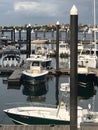 Luxurious Yachts by the Water on the Boston Harbor