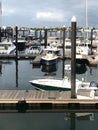 Luxurious Yachts by the Water on the Boston Harbor