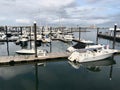 Luxurious Yachts by the Water on the Boston Harbor