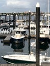 Luxurious Yachts by the Water on the Boston Harbor