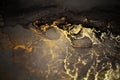 Luxury abstract fluid art painting background alcohol ink technique Brown and gold texture. Marble Royalty Free Stock Photo