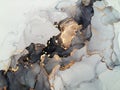 Luxury abstract fluid art painting background alcohol ink technique black shades of gray and gold. Rough edges of paint flow out