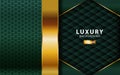 Luxury abstract premium green vector background with gold line.Overlap layers with paper effect. digital template. Realistic light Royalty Free Stock Photo