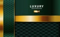 Luxury abstract premium green vector background with gold line.Overlap layers with paper effect. digital template. Realistic light Royalty Free Stock Photo