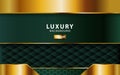 Luxury abstract premium green vector background with gold line.Overlap layers with paper effect. digital template. Realistic light Royalty Free Stock Photo