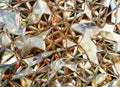 Luxury Abstract Realistic Crystals Texture with Prism Spectrum Caustic Reflection Close Up Background 3D rendering