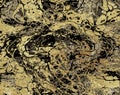 Luxury alcohol ink golden gold glitter foil leaf on dark black abstract background. Royalty Free Stock Photo