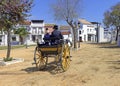 Old carriage with two wheels, driven by a horse