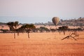 Luxury balloon floating over grass meadow of Serengeti Savanna - African Tanzania Safari trip Royalty Free Stock Photo