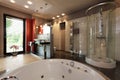 Luxury bathroom with bath and shower Royalty Free Stock Photo